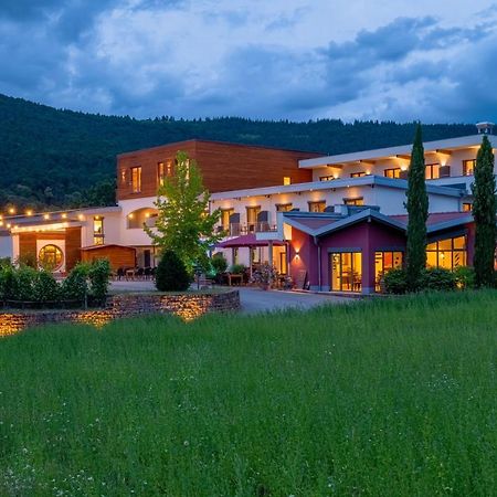 Main-Vinotel Weingut Helmstetter Buergstadt Εξωτερικό φωτογραφία